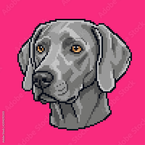 Sleek Weimaraner dog head pixel art icon showing the characteristic silver grey coat on a solid pink background for pet related digital graphics.