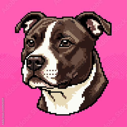 Staffordshire Bull Terrier dog head pixel art illustration in a front view with a brown and white coat isolated on a pink background for icons.
