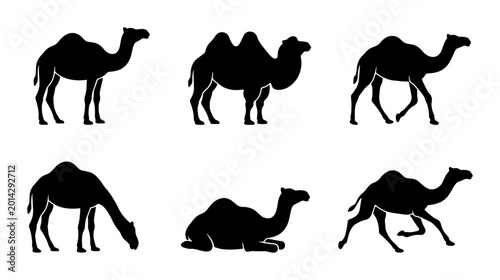 Camel Silhouettes Collection, Desert Animals Vector Pack, Dromedary and Bactrian Camel Poses, Wildlife Graphics