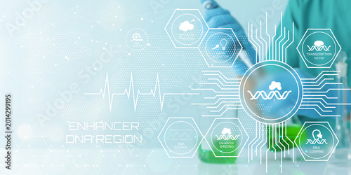 Scientist analyzing genetic transcription factors and DNA enhancer regions with futuristic technology visualization