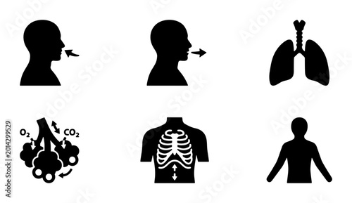 Bild auf Leinwand Respiratory System Icons: Lungs, Rib Cage, Alveoli, Inhale, Exhale, Human Silhou