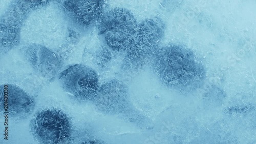 Extreme macro close-up of cracked blue melting ice texture in time lapse. Abstract frozen water surface with translucent crystal patterns, condensation and thawing details in studio lighting.