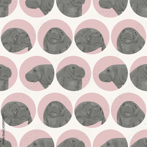 Seamless pattern with West Indian manatee Trichechus manatus heads in pink circles, vector background with aquatic mammals sea cows for textile and wallpaper.