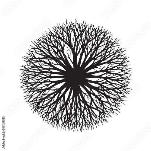 Black circular vector silhouette of radiating tree branches or roots. Symbolizing natural growth, biological networks, and environmental connections