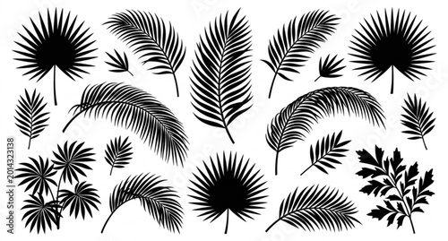Fotografia Palm frond silhouettes vector set tropical leaf collection isolated on white
