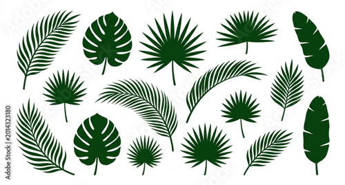 Photos Tropical palm leaf silhouette collection vector botanical fronds isolated on whi