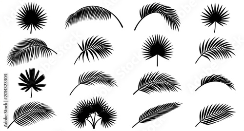 Tableau sur toile Palm tree leaf silhouettes vector set tropical fronds isolated on white