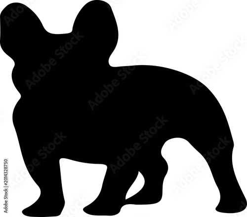 Photography black silhouette of a cat