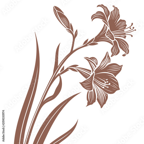 copper iris flower silhouette on white background