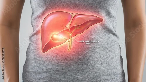 Human body, central midsection, glowing vital liver and gallbladder highlighting pain, digestive system distress, medical diagnosis, hepatic disease awareness, internal organ discomfort,