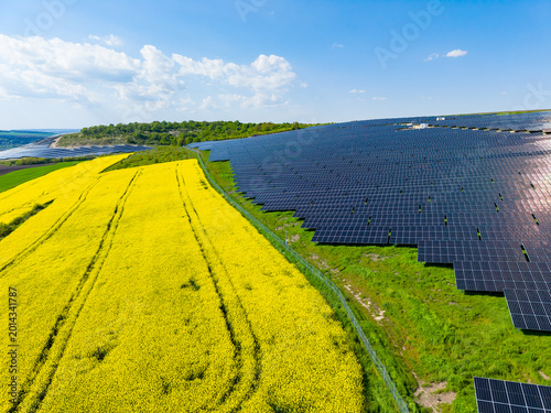 Solar panels cover a large field while yellow flowers grow nearby under a clear sky in a renewable energy location