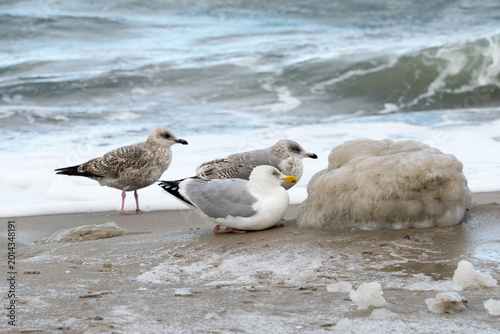 At the Baltic Sea in Germany in Winter – A Winter Coastal Landscape