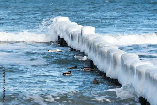 At the Baltic Sea in Germany in Winter – A Winter Coastal Landscape