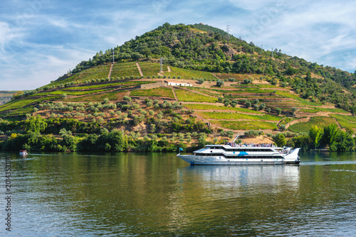 Obraz na plátně View of a cruise boat on the Douro River in Regua with passengers, vineyard terraces, green hills and soft reflections on the water