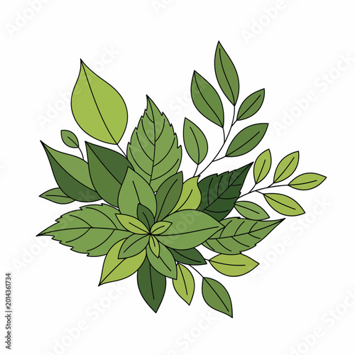 Bilde på lerret Collection of Various Green Leafy Foliage.