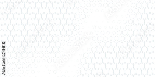 Slika na platnu Hexagonal white net. Vector illustration eps 10