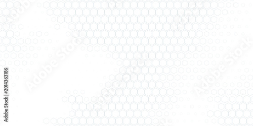 Bild auf Leinwand Hexagonal white net. Vector illustration eps 10