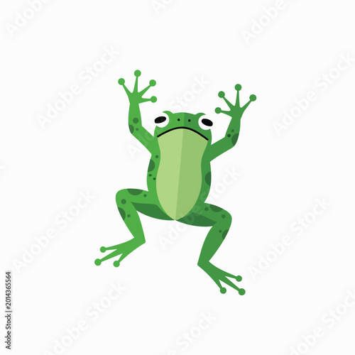 Photos Green Frog Amphibian Cartoon Character.