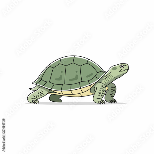 Bild auf Leinwand Green Turtle Walking on Land Slowly 1.