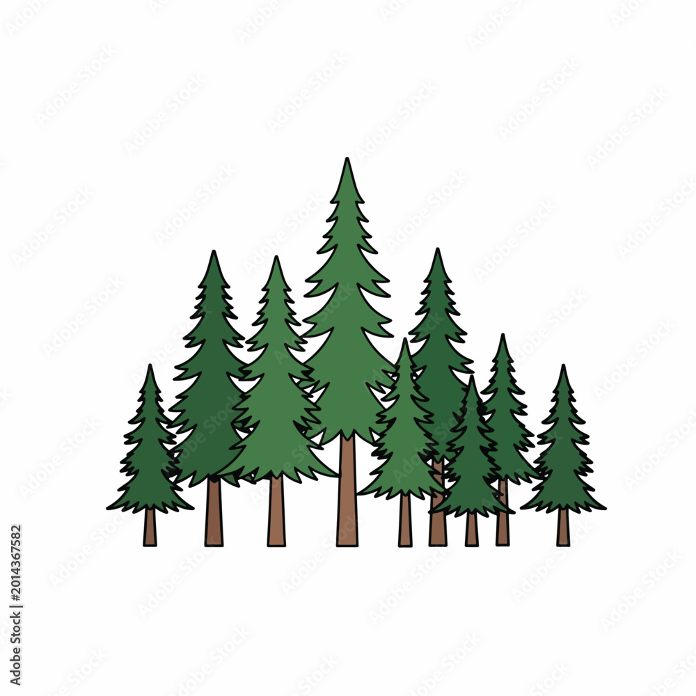 Obraz premium Group of Evergreen Pine Trees Cluster.