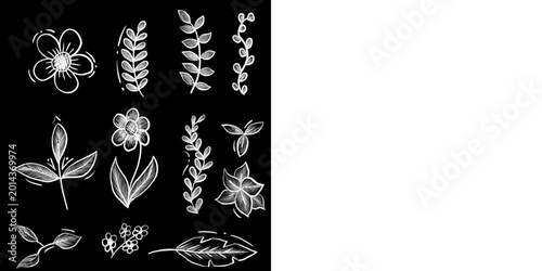 Set of chalk or crayon doodle hand drawn leaves and flowers.
