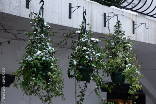 Foto Hanging planters adorned with snow create a winter wonderland in a cozy courtyar
