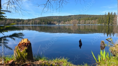 Foto Natural kladska trail in Marianske Lazne