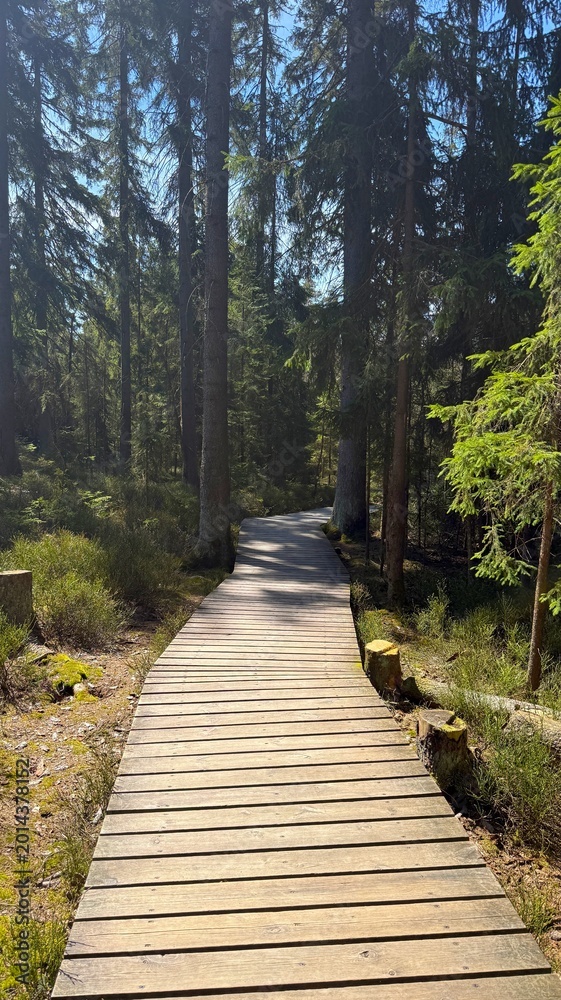 Obraz premium Natural kladska trail in Marianske Lazne
