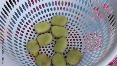 Konstfotografi Fresh shelled fava beans in white plastic colander top view
