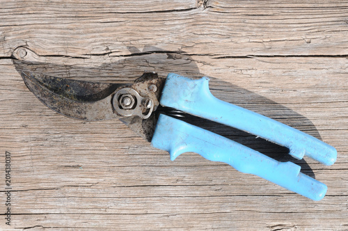 Pruning shears on old wooden background. Top view.