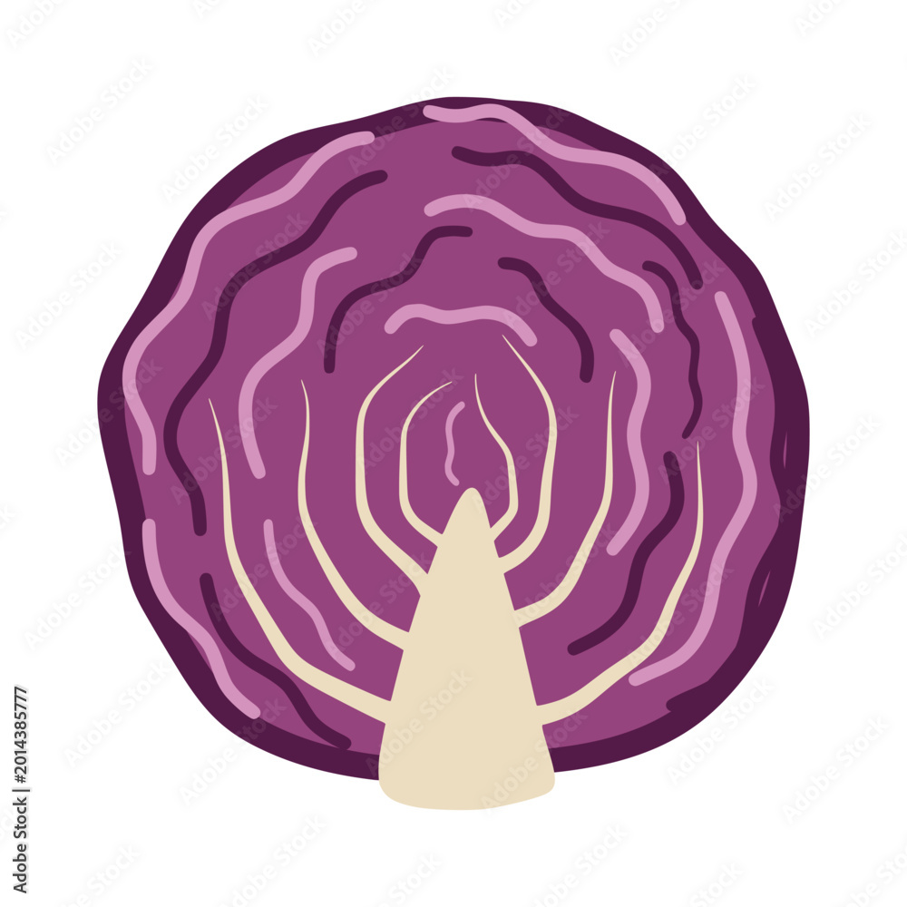 Obraz premium Red cabbage showing healthy eating nutrition food ingredient
