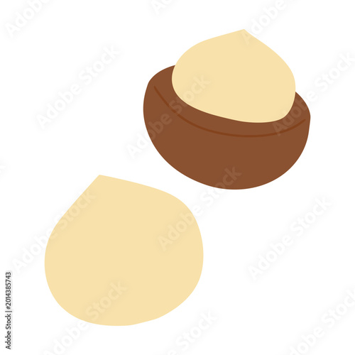 Macadamia nut healthy eating food ingredient