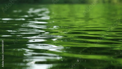 Green Water Surface with Gentle Ripples