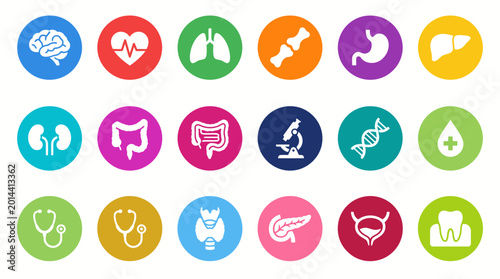 Medical Icons Representing Various Organ Systems and Health Concepts for Healthcare and Science Industries