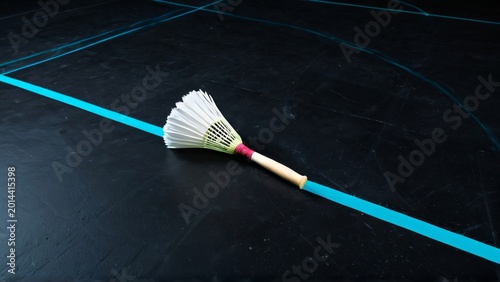Badminton Shuttle on Black Court Floor