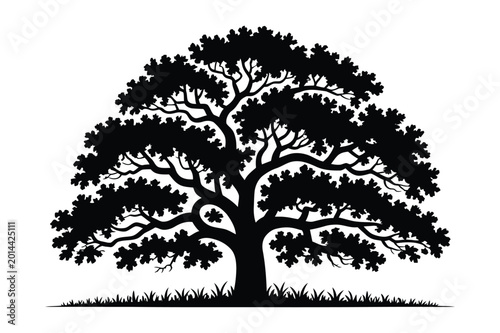 Canvastavla Silhouette of a large oak tree with lush canopy tree trunk silhouette