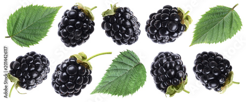 Photos Fresh ripe blackberries and green leaves isolated on white, collage