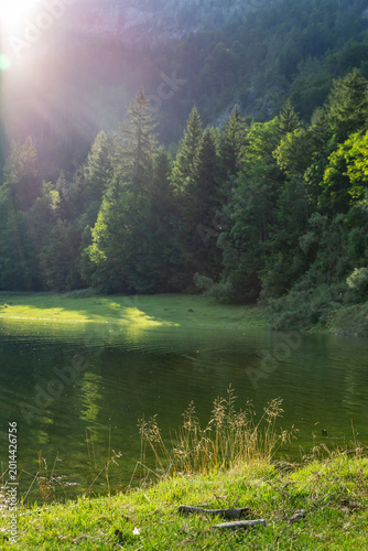 Lödensee in Ruhpolding shows clear water and trees while sunlight shines on the lake.
