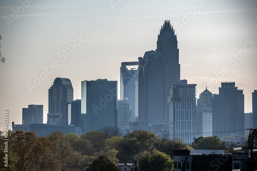 Konstfotografi Charlotte North Carolina Skyline from Cordelia Park with Uptown High Rise Build