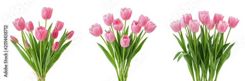 Bouquet of Fresh Pink Tulips Isolated on White Background - Vibrant Spring Floral Arrangement for Romantic Gifts, Mother's Day, Easter, and Professional Botanical Design Assets
