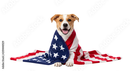 Patriotic jack russell terrier with american flag 4th of july celebration isolated on transparent background