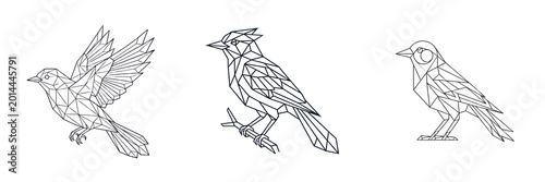 Set and collection of hand drawn bird sketch isolated on white background