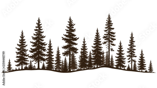 Photos A dense forest of evergreen trees with a rolling landscape beneath them