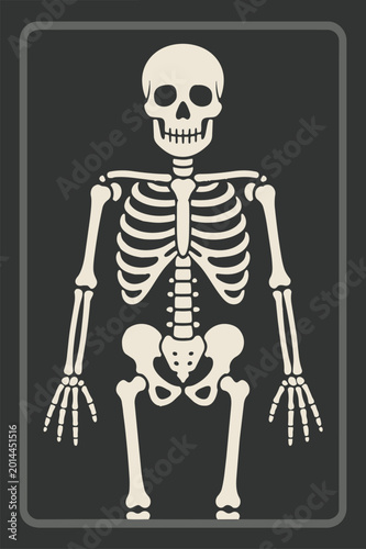 X-ray skeleton print