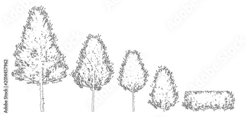 Fotografie Minimal style CAD tree and shrub size variation drawing set, Side view, graphics vegetation elements outline symbol for architecture landscape design drawing