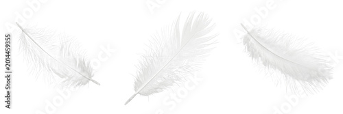 Obraz na płótnie Set of single white feather isolated on white background