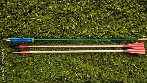 Archery Arrows on Forest Moss