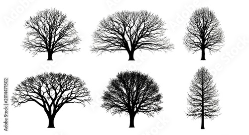 Quadro su tela A diverse collection of elegant bare tree silhouettes, showcasing the unique for