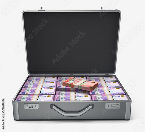 Open metal briefcase filled with stacks of Albanian Lek banknotes