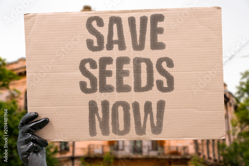 Bilde på lerret "Save Seeds Now" Preserving seed diversity today is essential for future agricultural survival